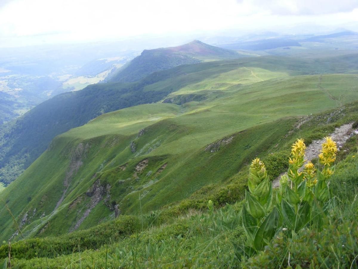 L'Esprit Du Bois Villa Aydat Luaran gambar